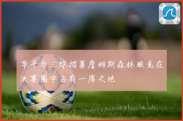 华子与三球招募詹姆斯森林狼竟在决赛圈中占有一席之地